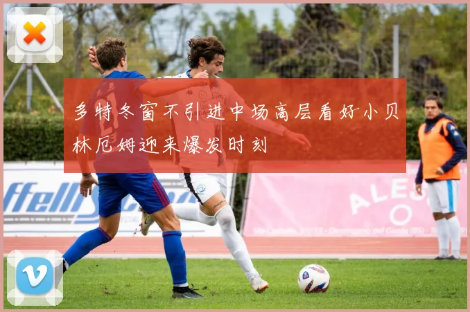 多特冬窗不引进中场高层看好小贝林厄姆迎来爆发时刻