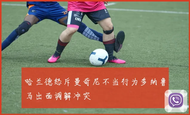 哈兰德怒斥曼奇尼不当行为多纳鲁马出面调解冲突