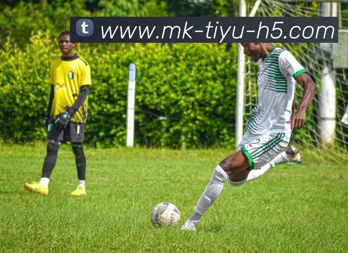 多媒体互动体验