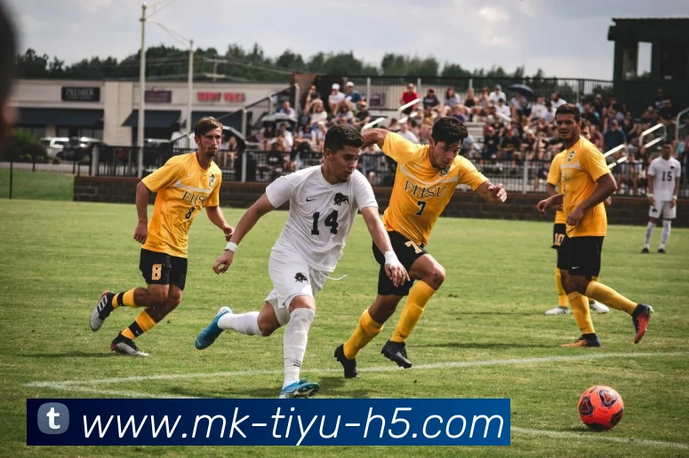 MK体育APP 体育赛事宣传图